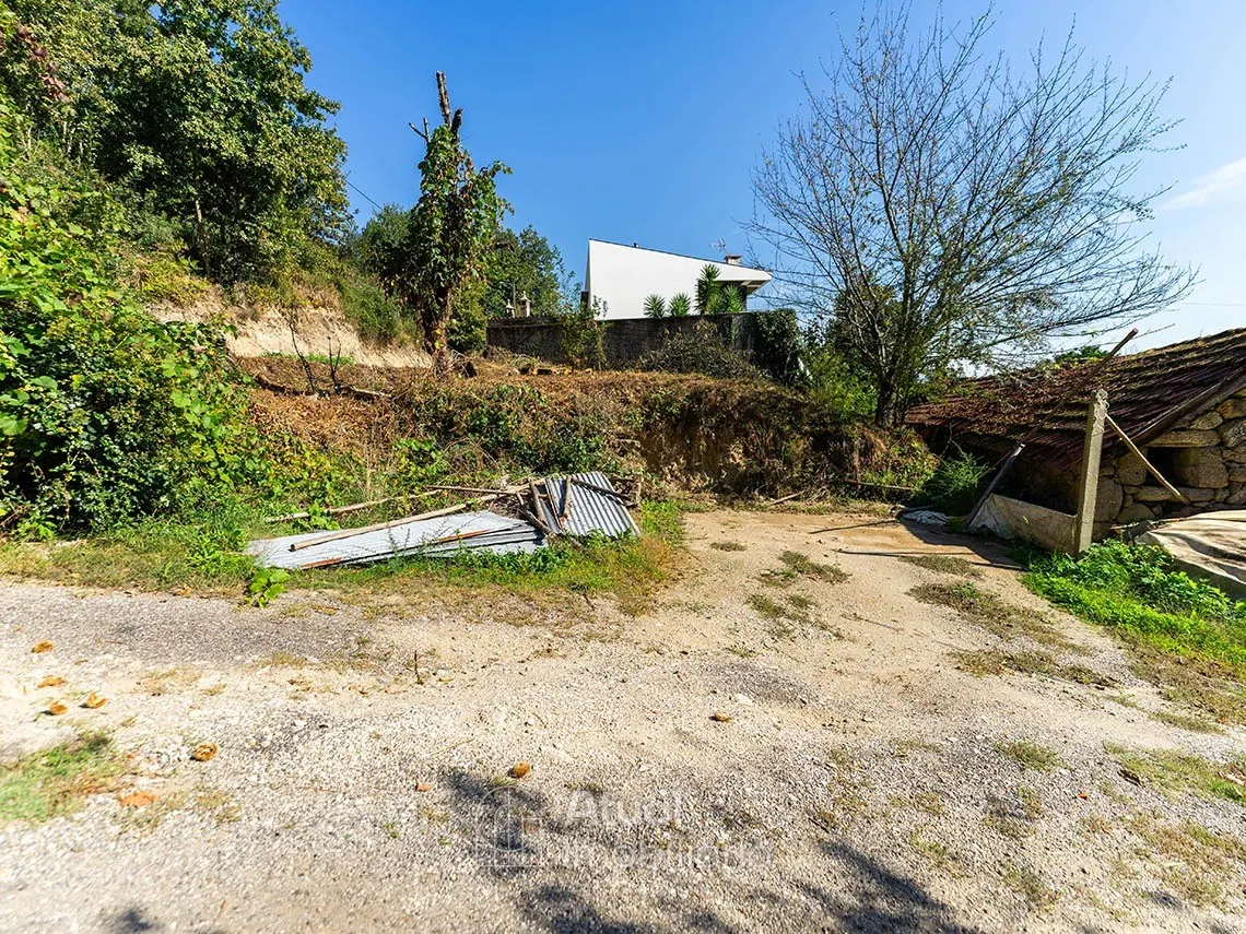 img_6