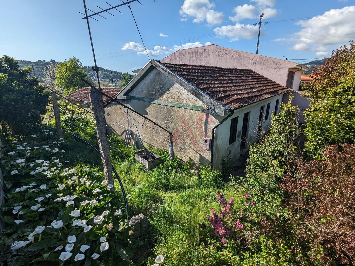 img_0