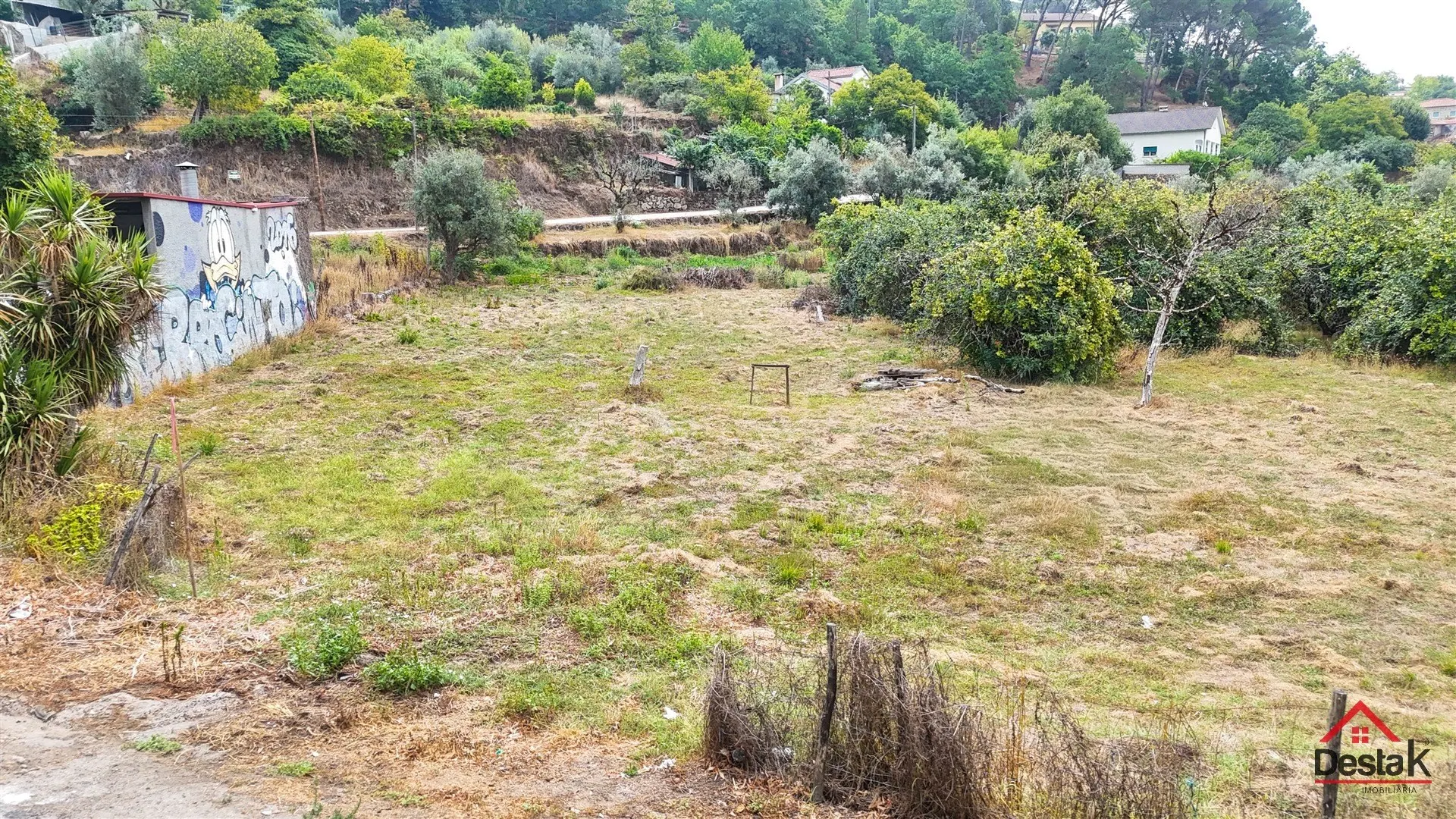 img_9