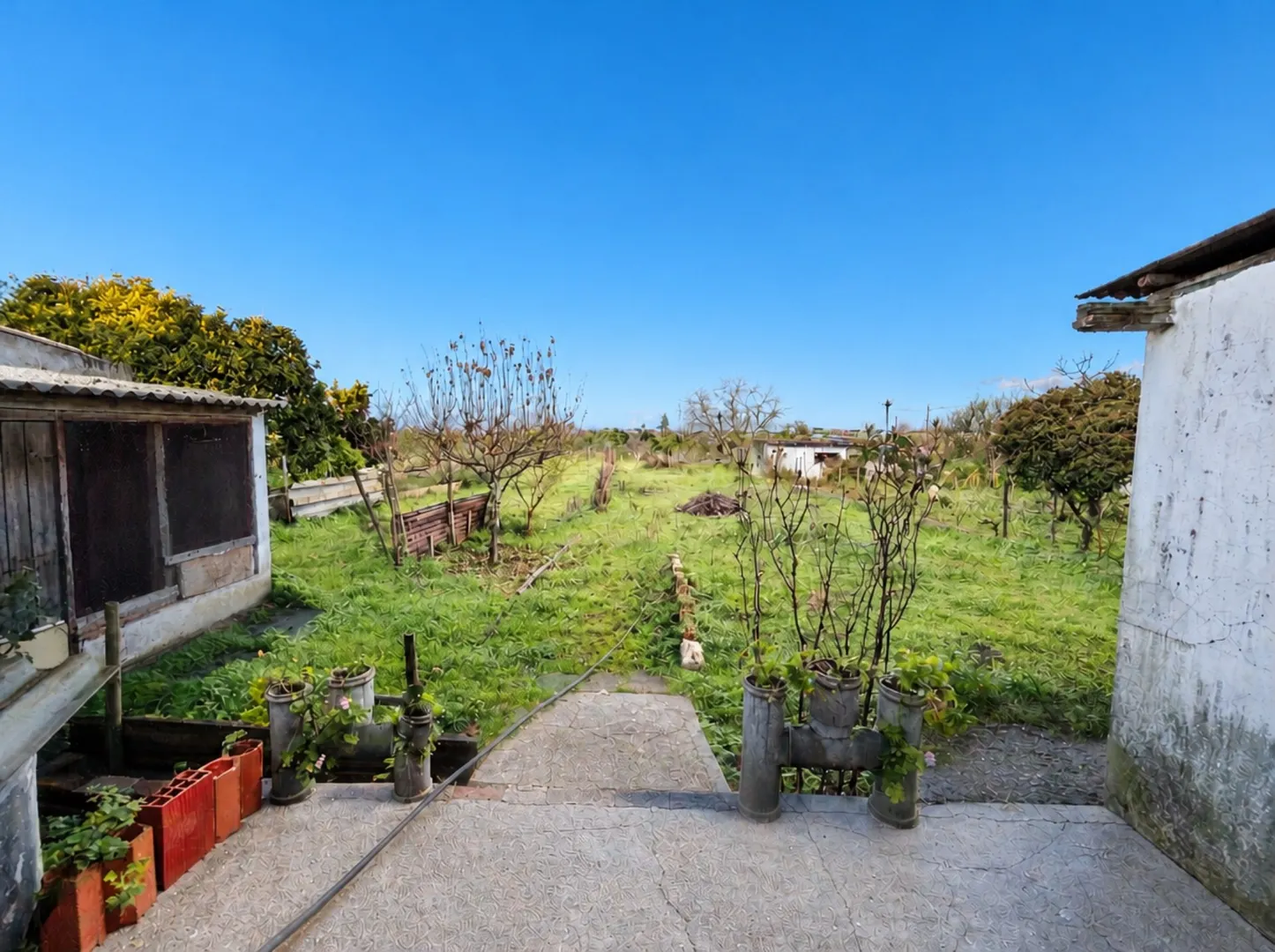 img_10