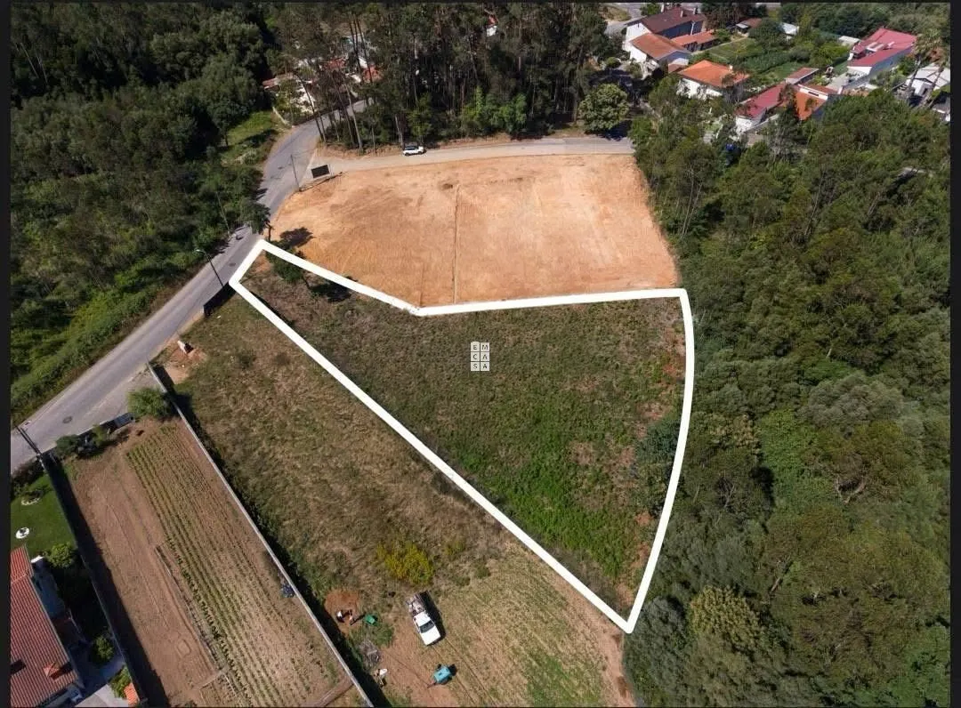 img_7