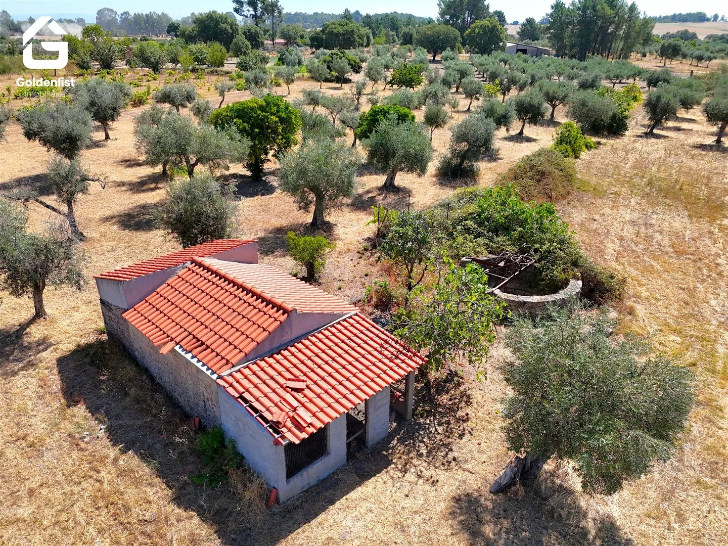 img_9