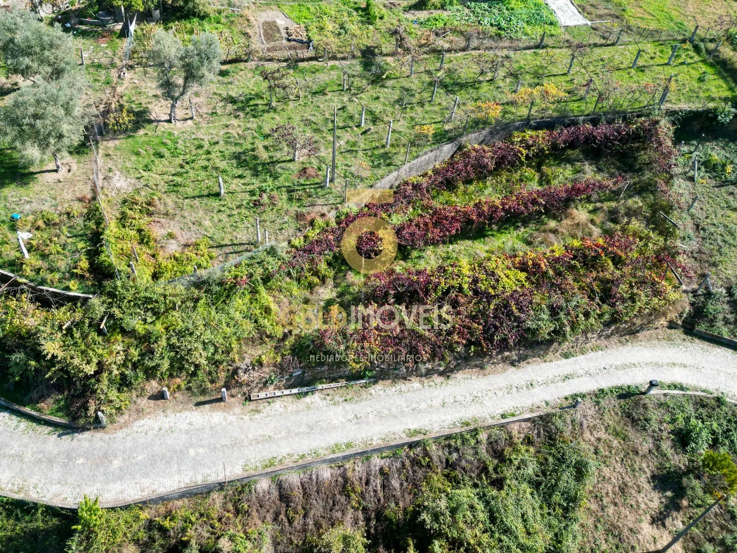 img_1