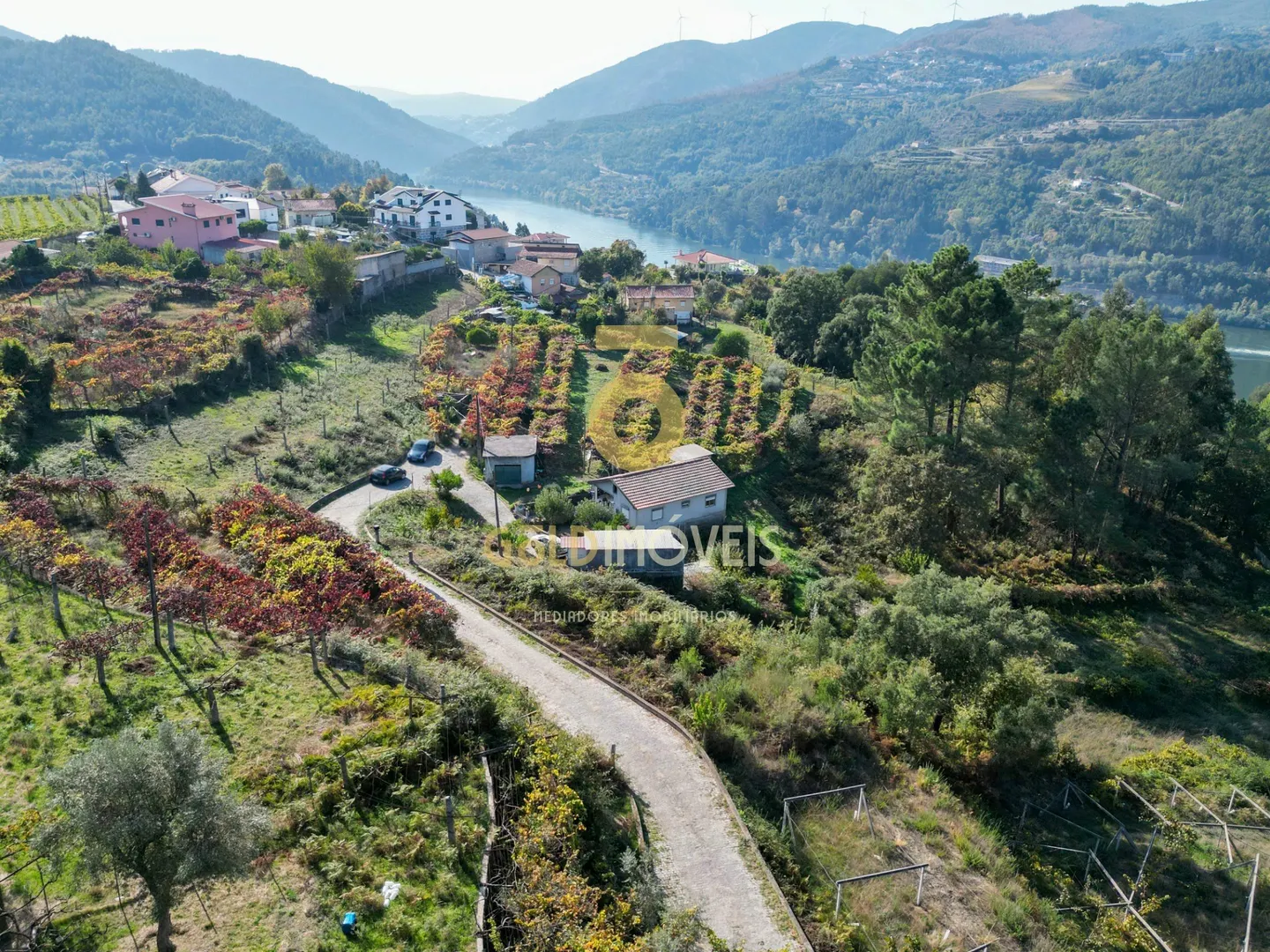 img_6