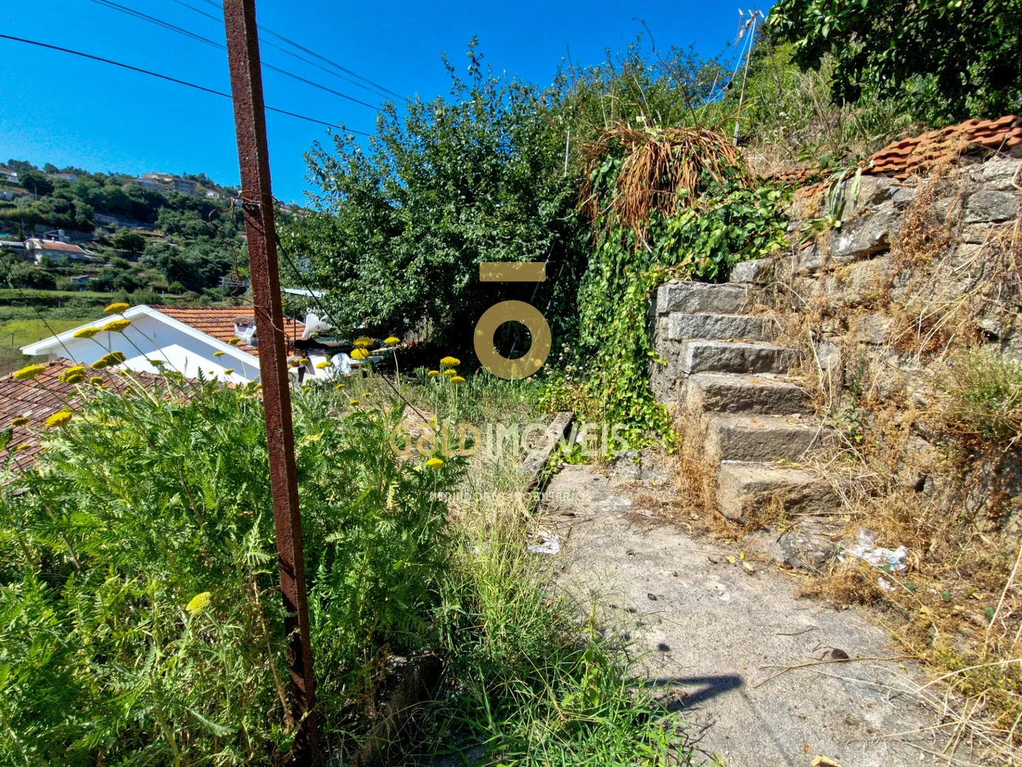 img_26
