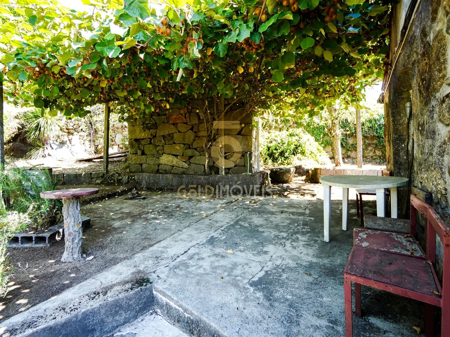 img_15