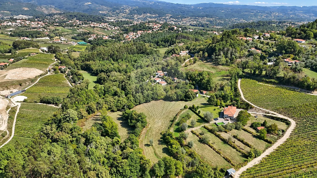 img_1