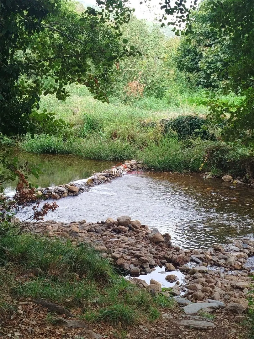 img_89