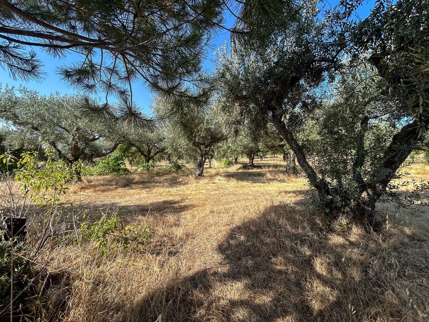 img_78