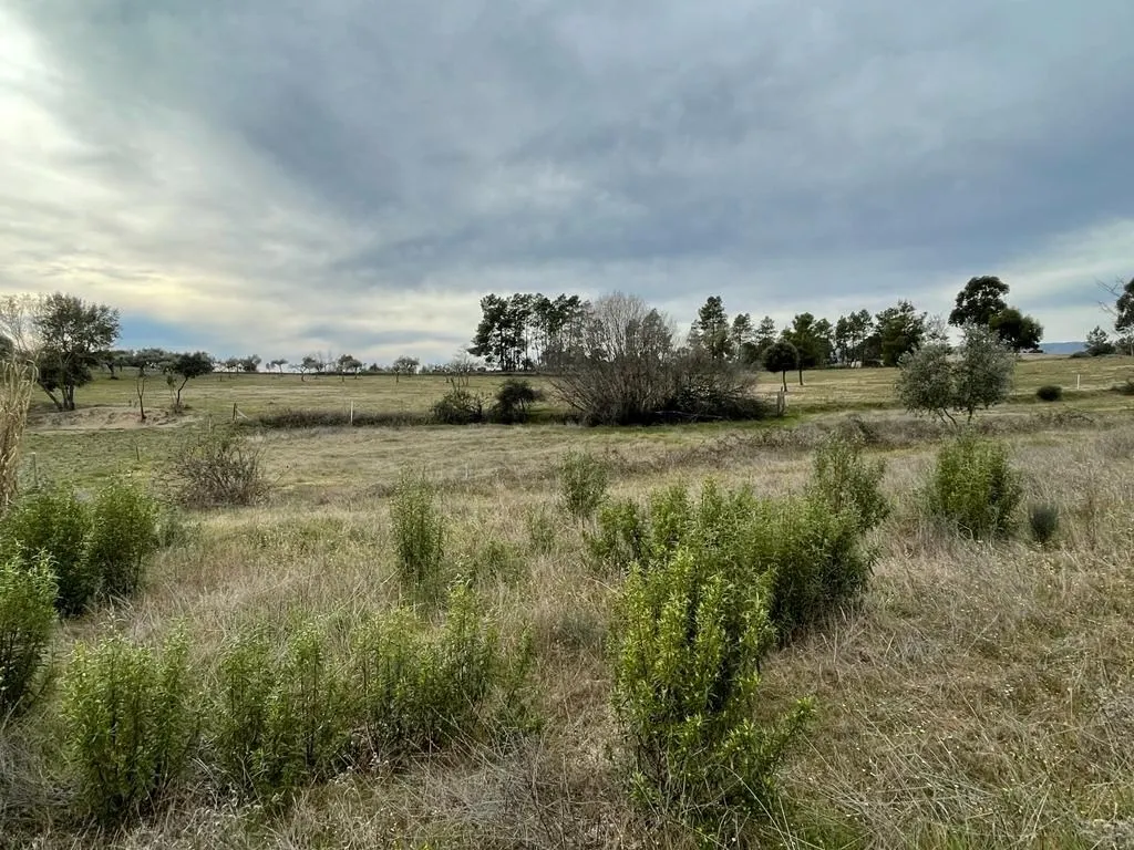 img_9