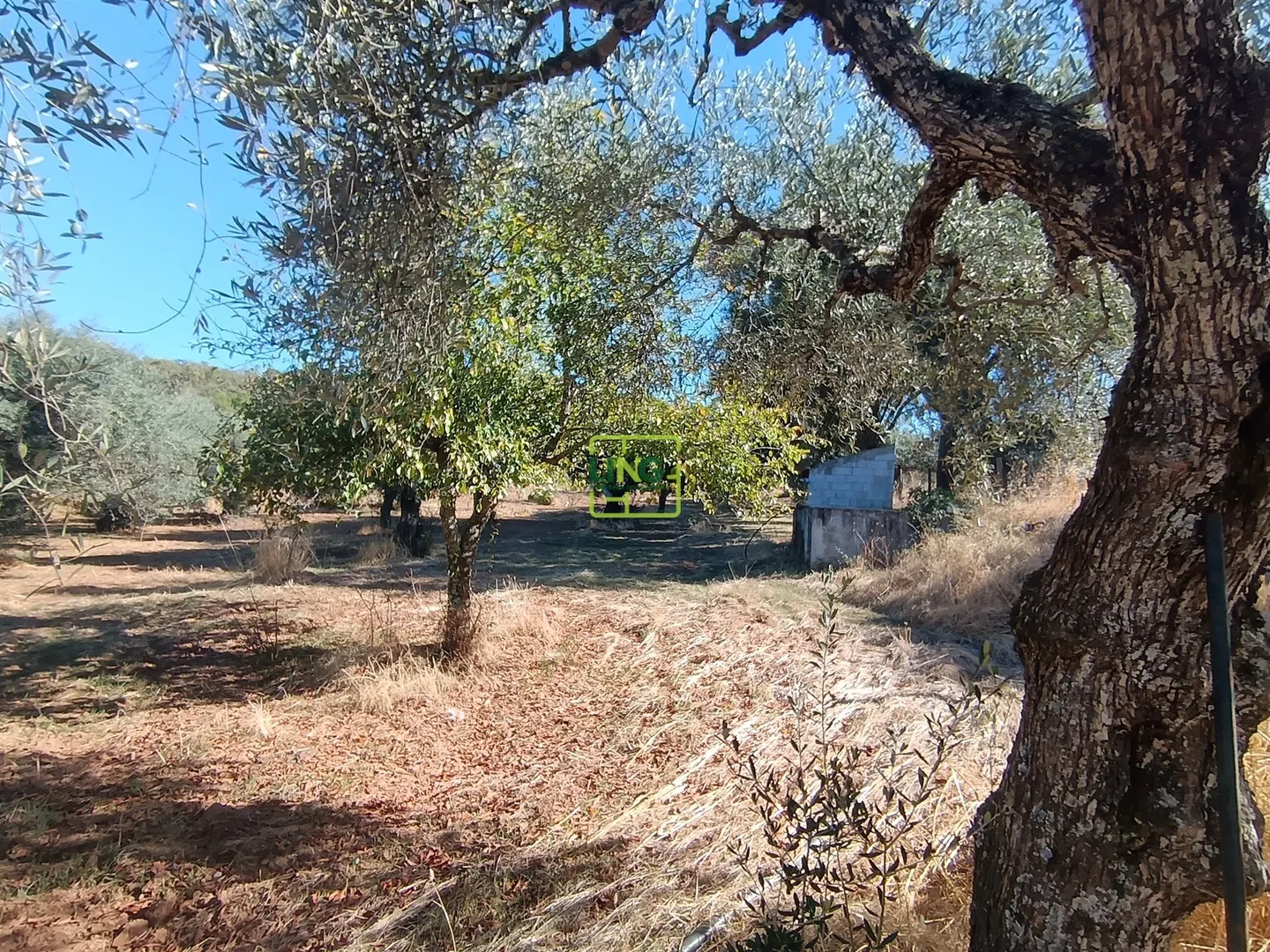 img_19