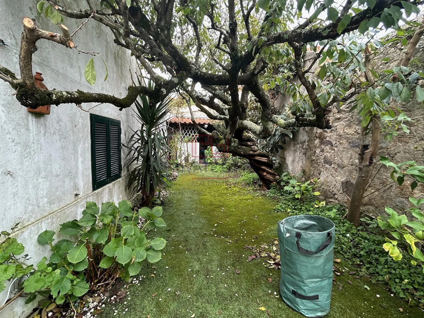 img_1