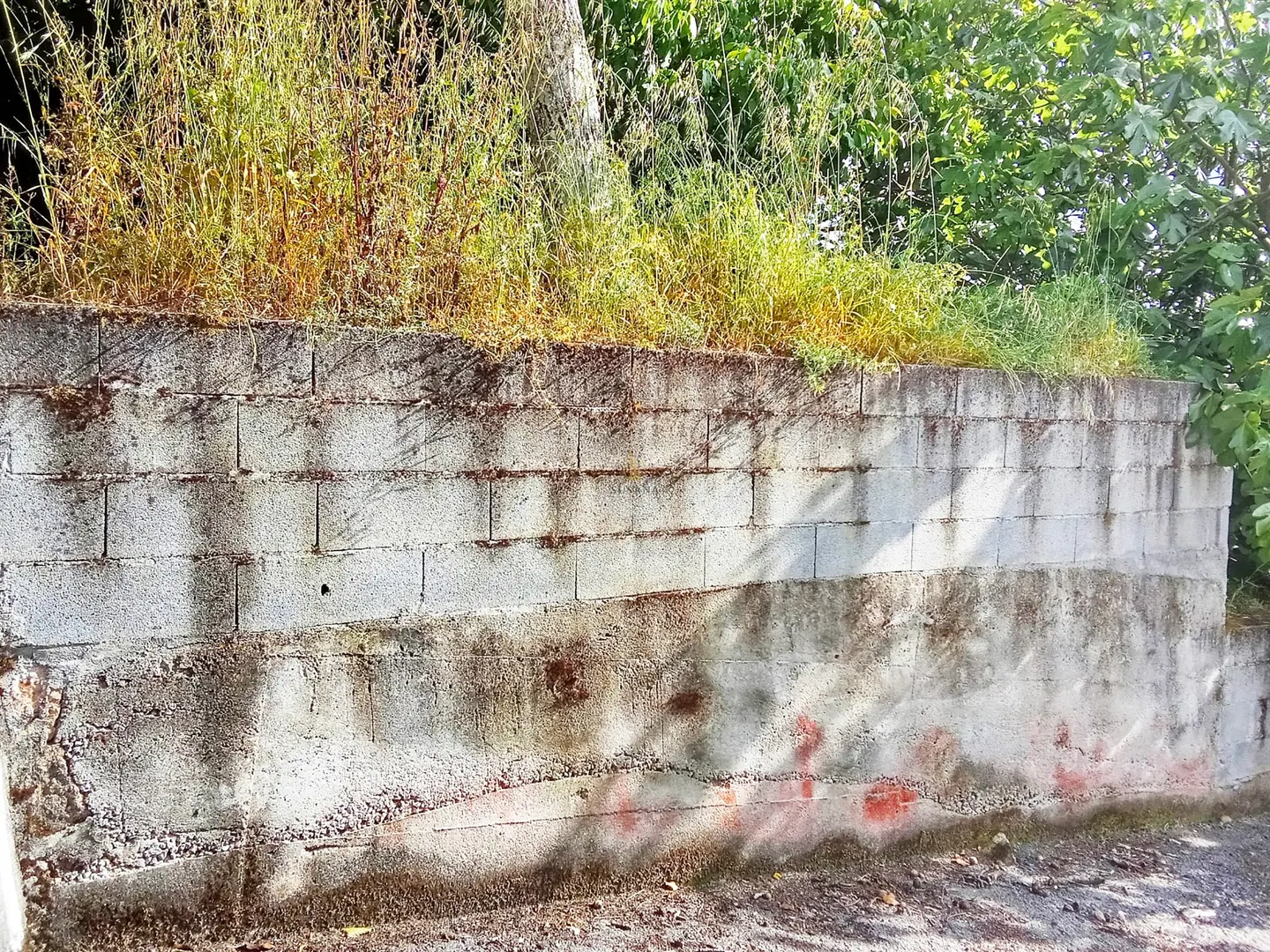 img_3