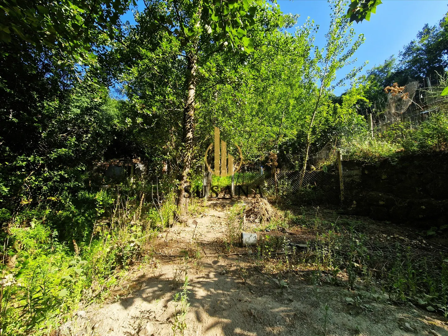 img_42