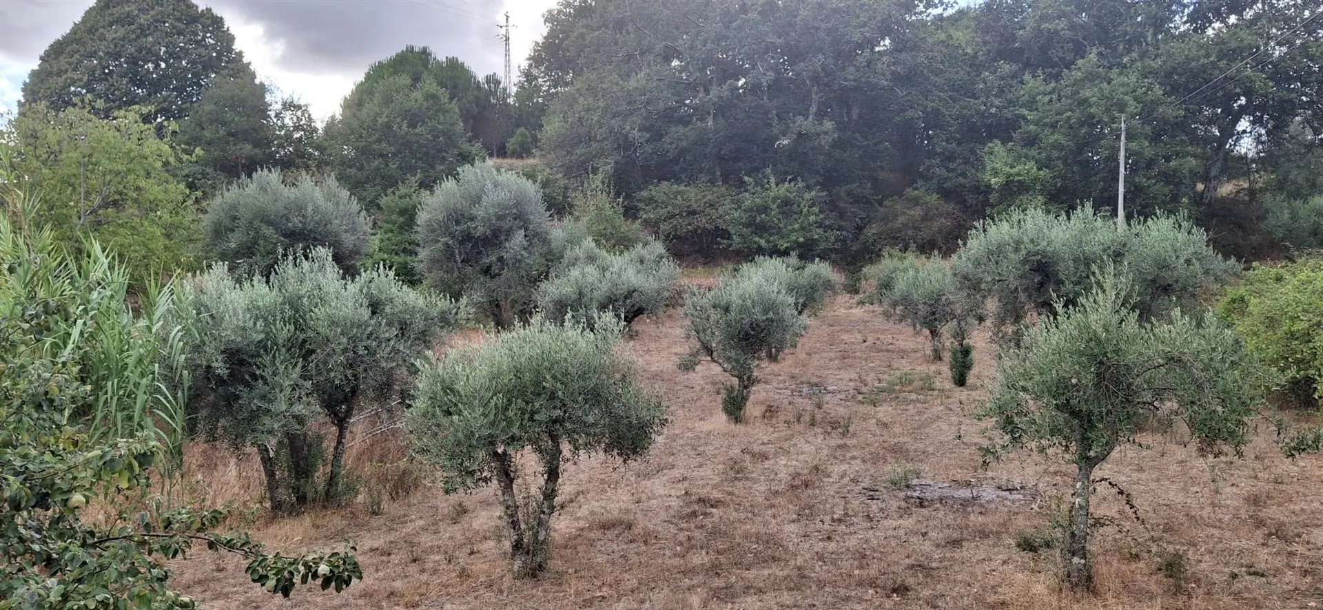 img_40