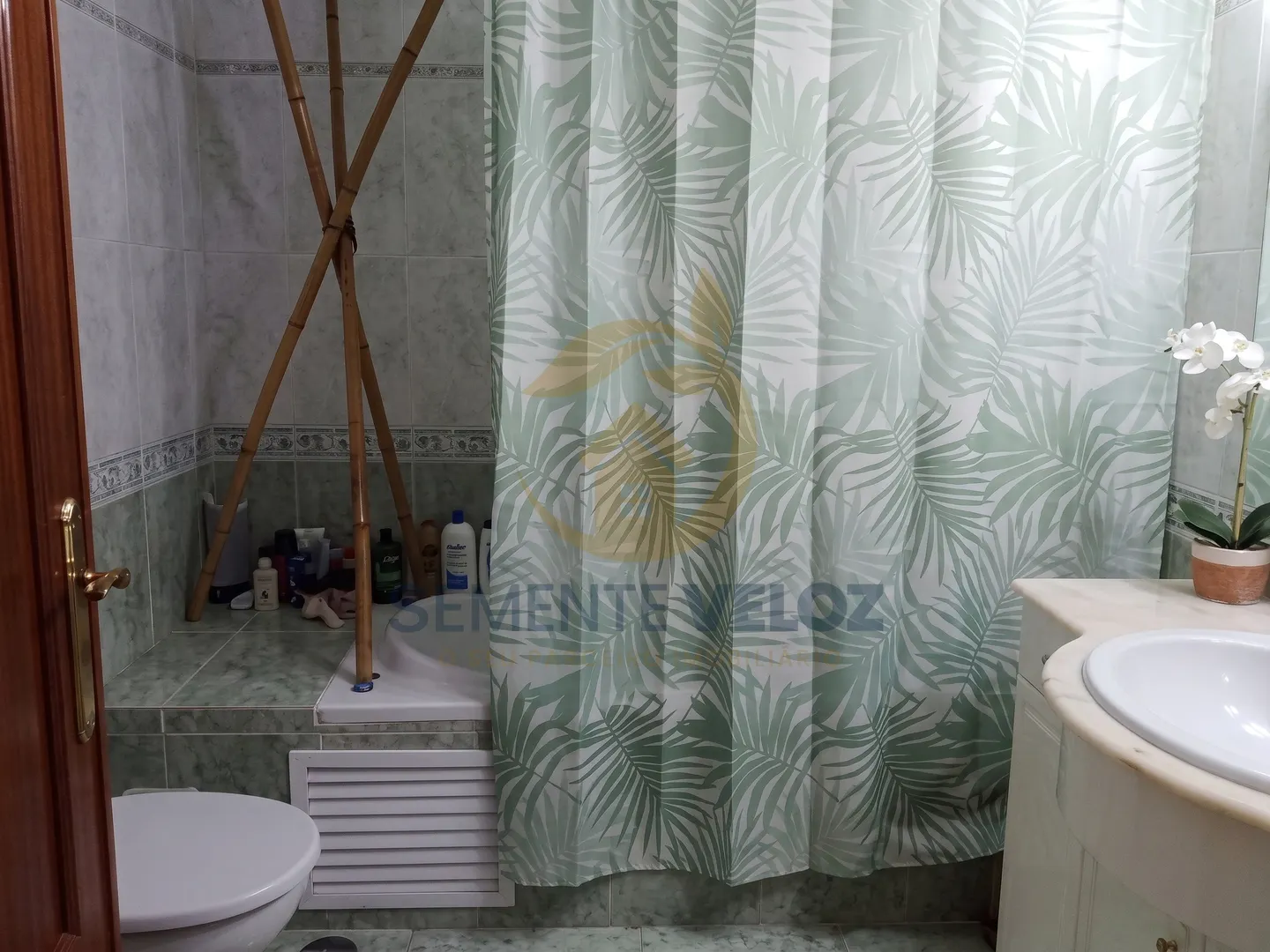 img_6
