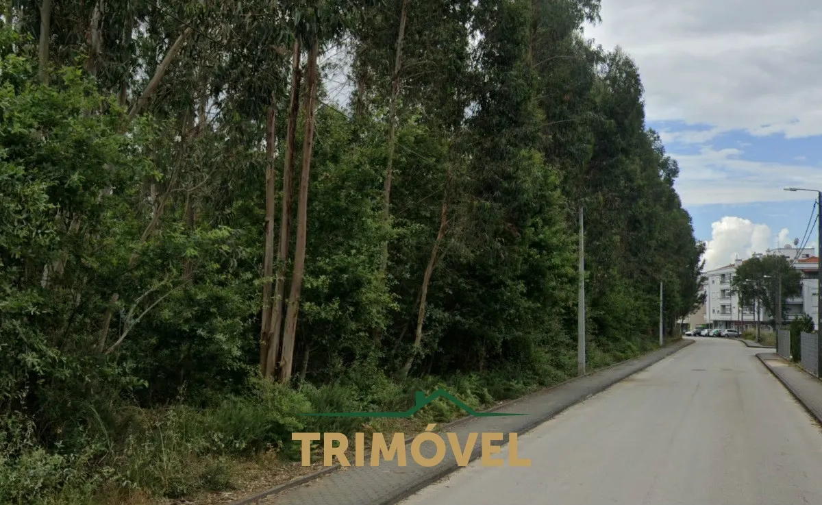 Land for sale in Oliveira de Azeméis, Portugal — €290,000