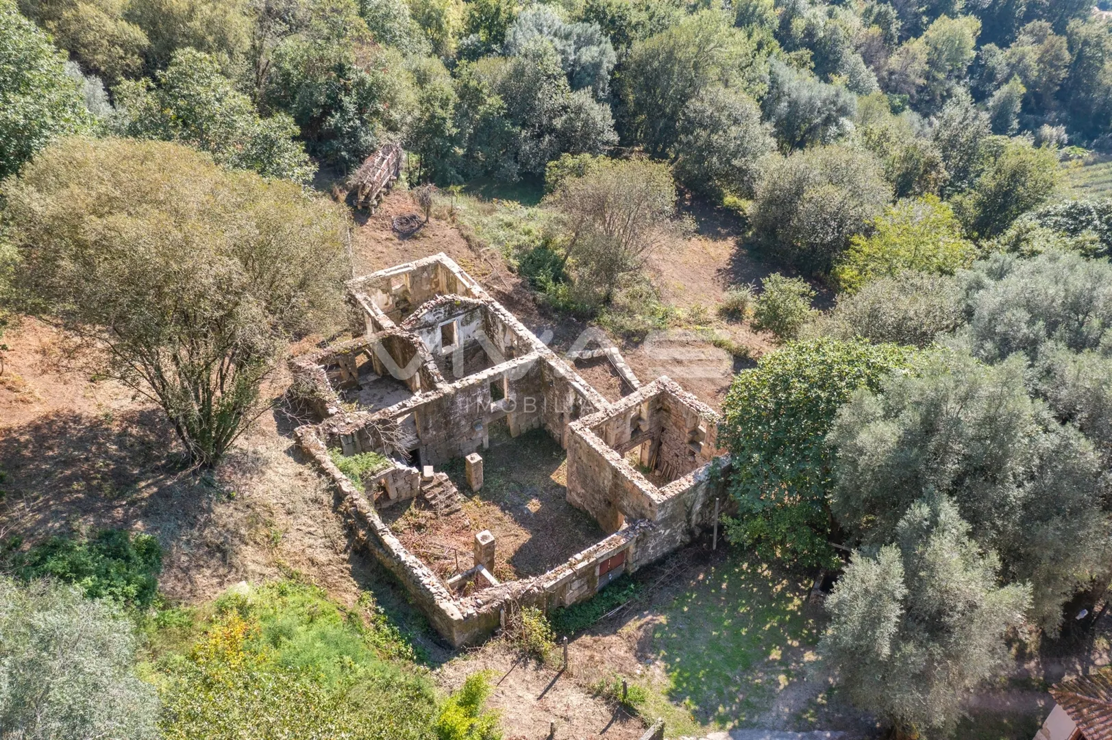 img_16