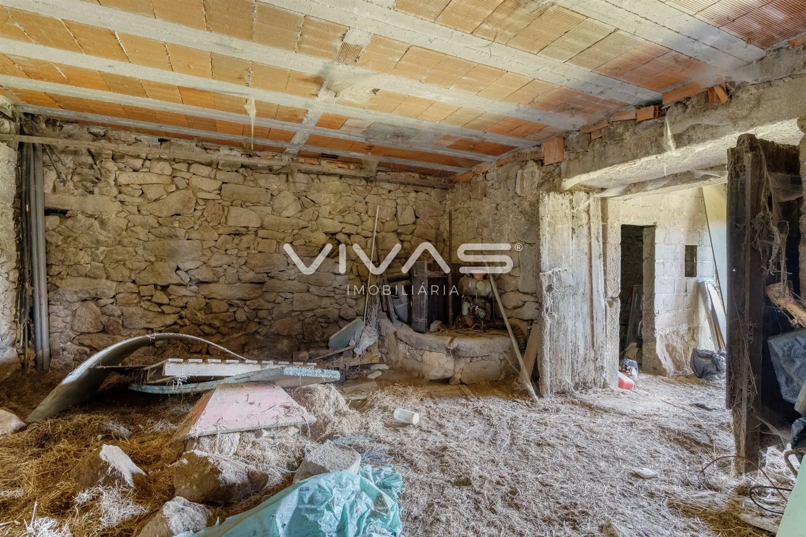 img_25