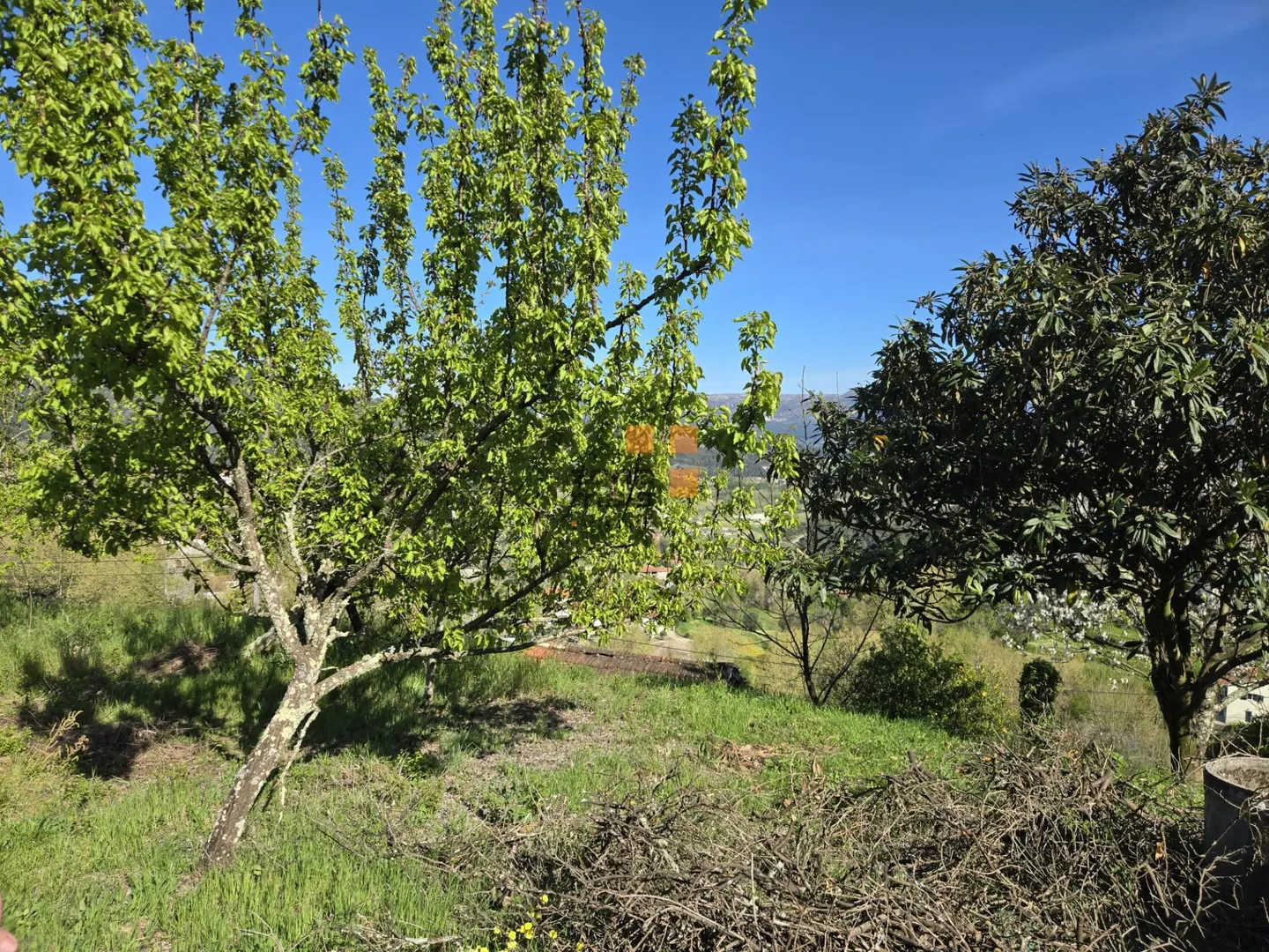 img_41