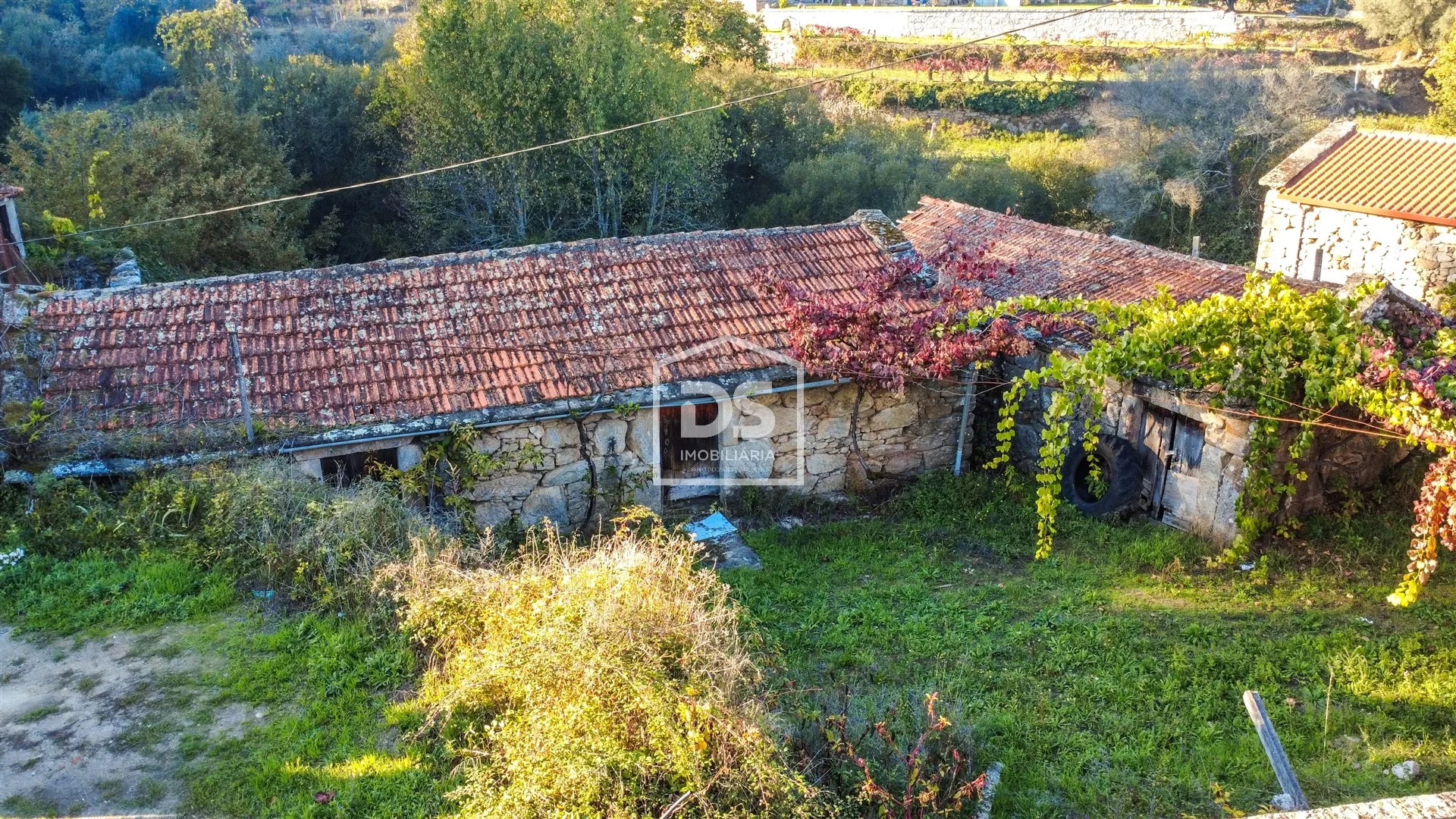 Detached house to restore T3