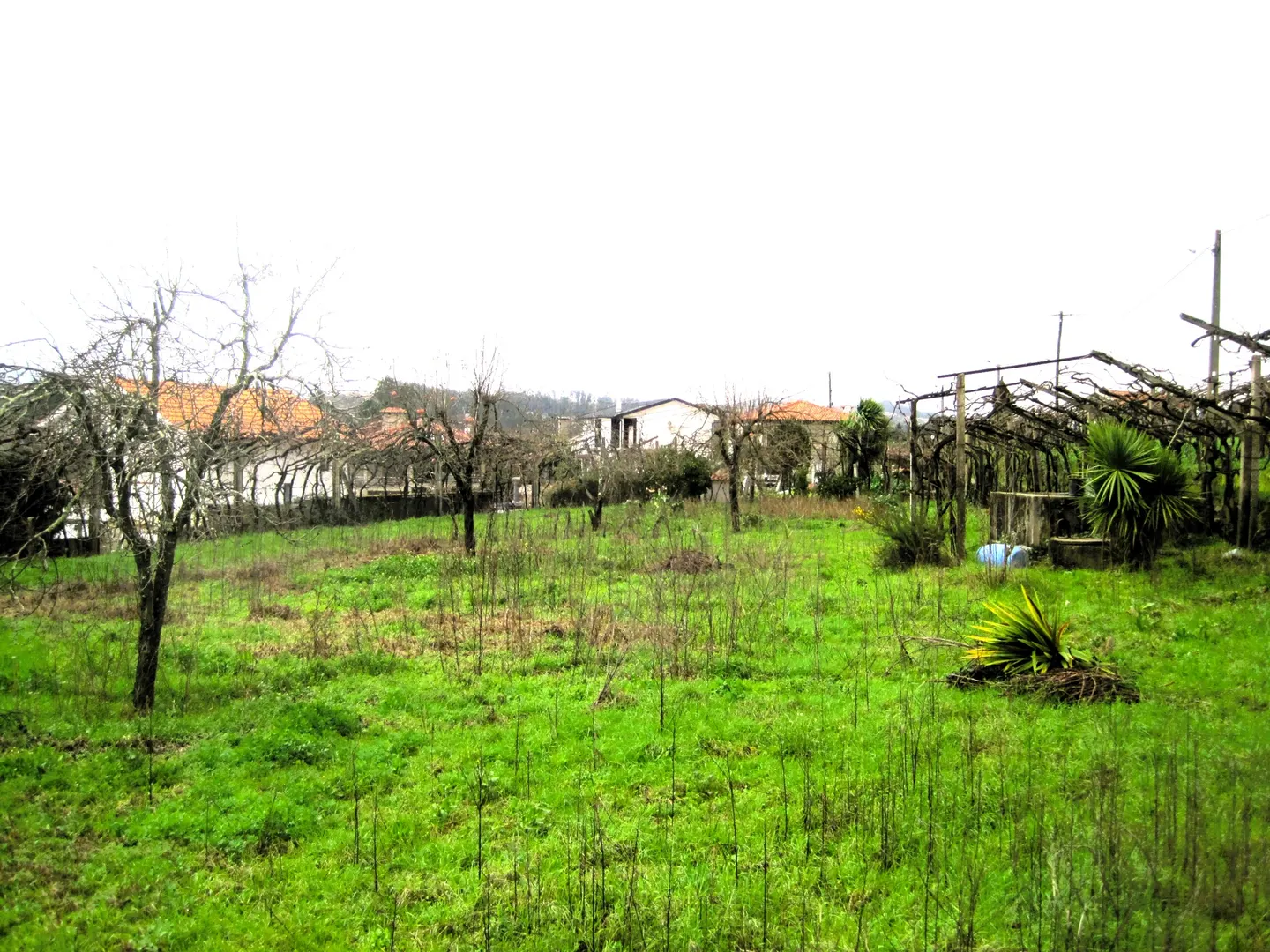 Terreno