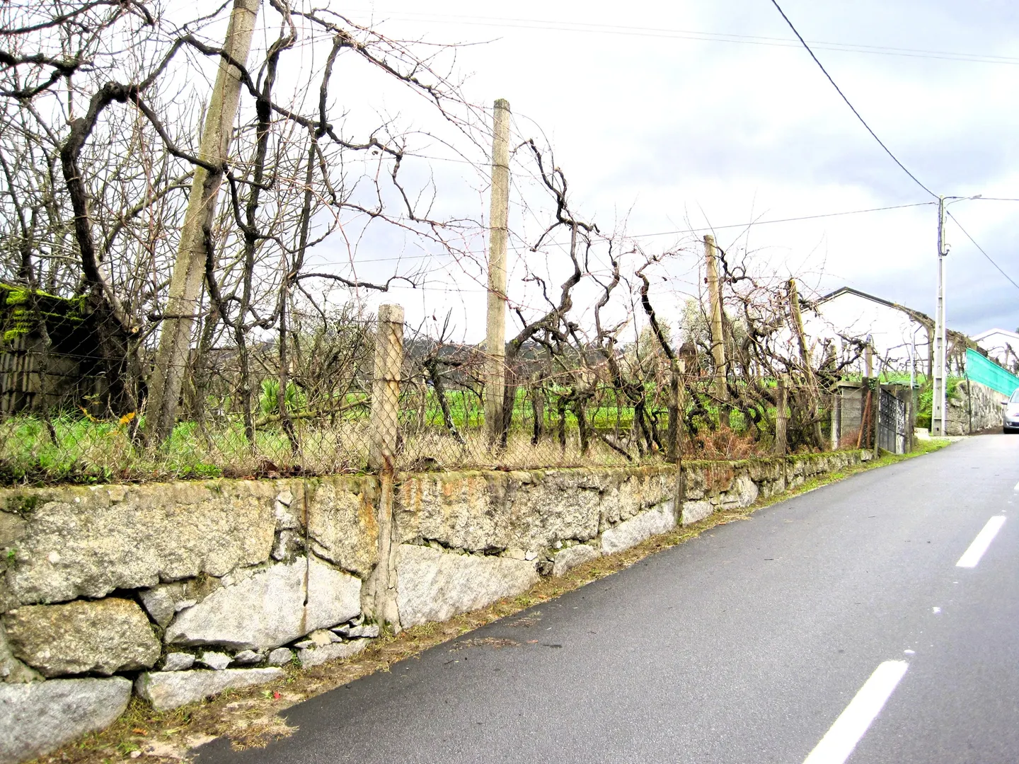 Terreno