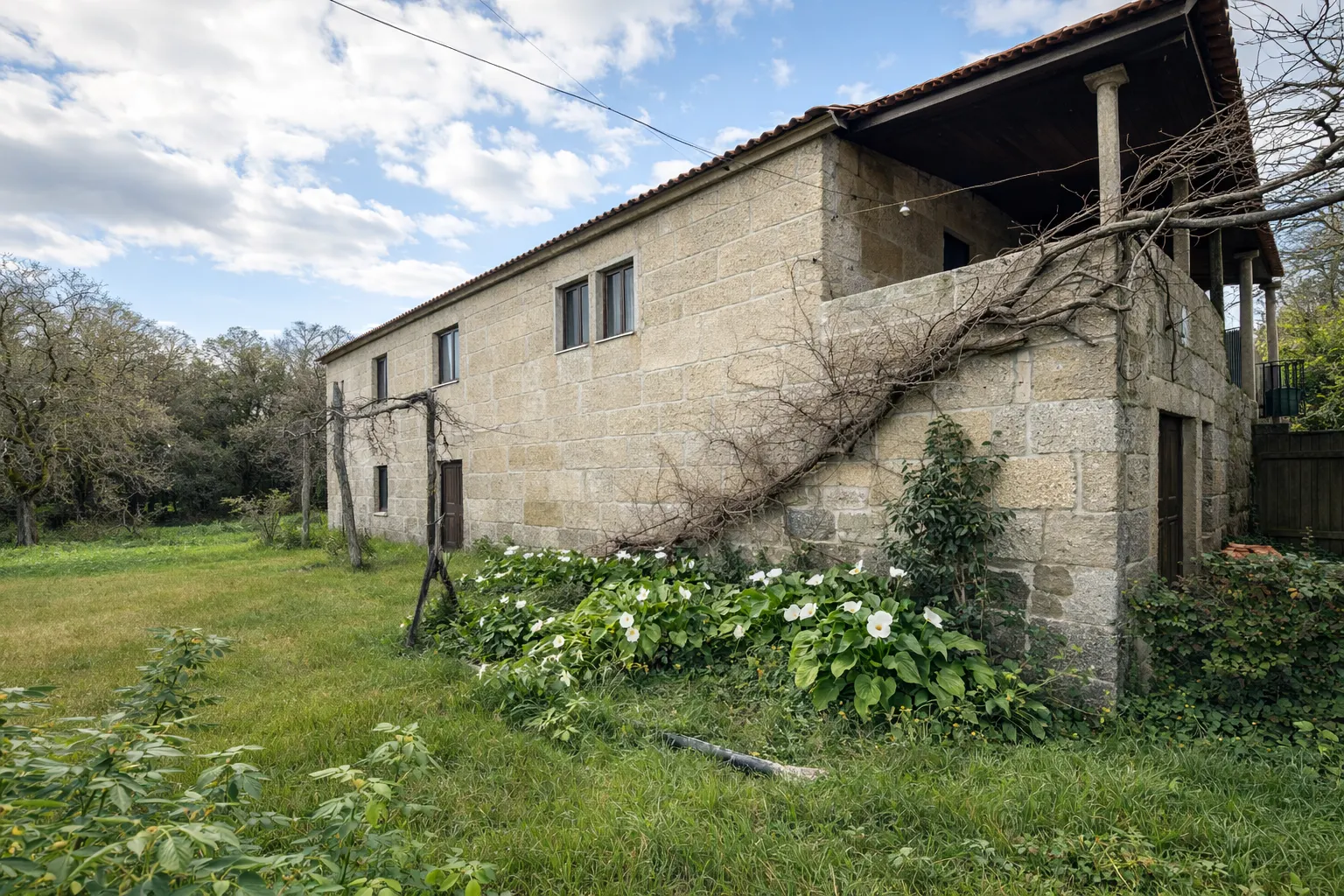 Quinta T6