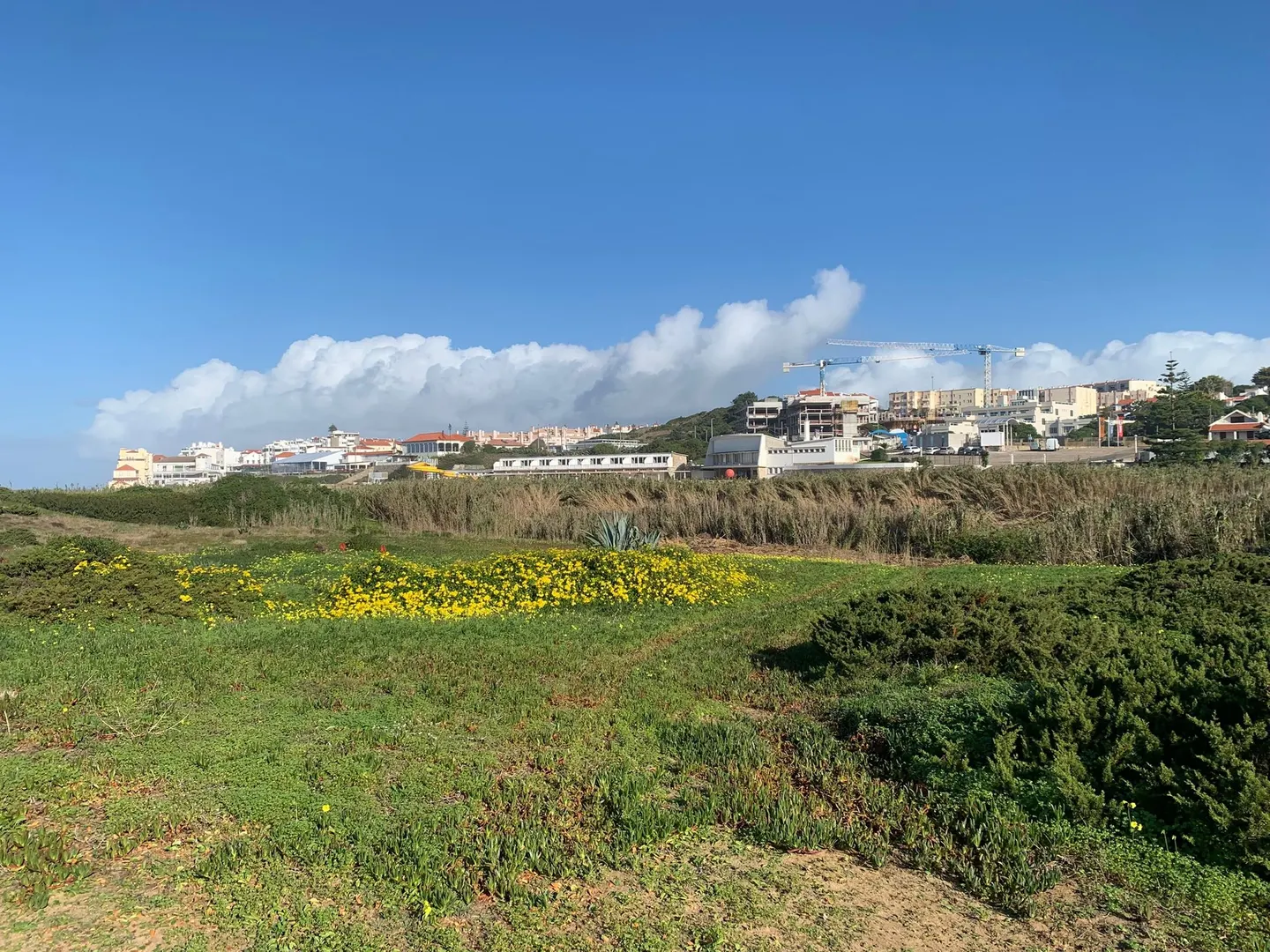 Terreno