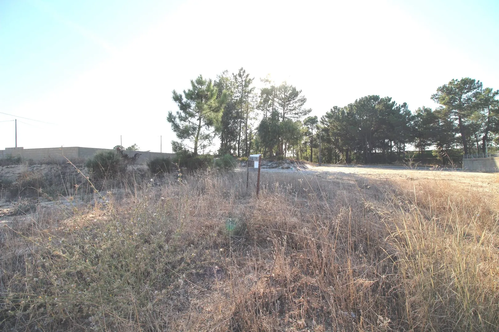 Terreno