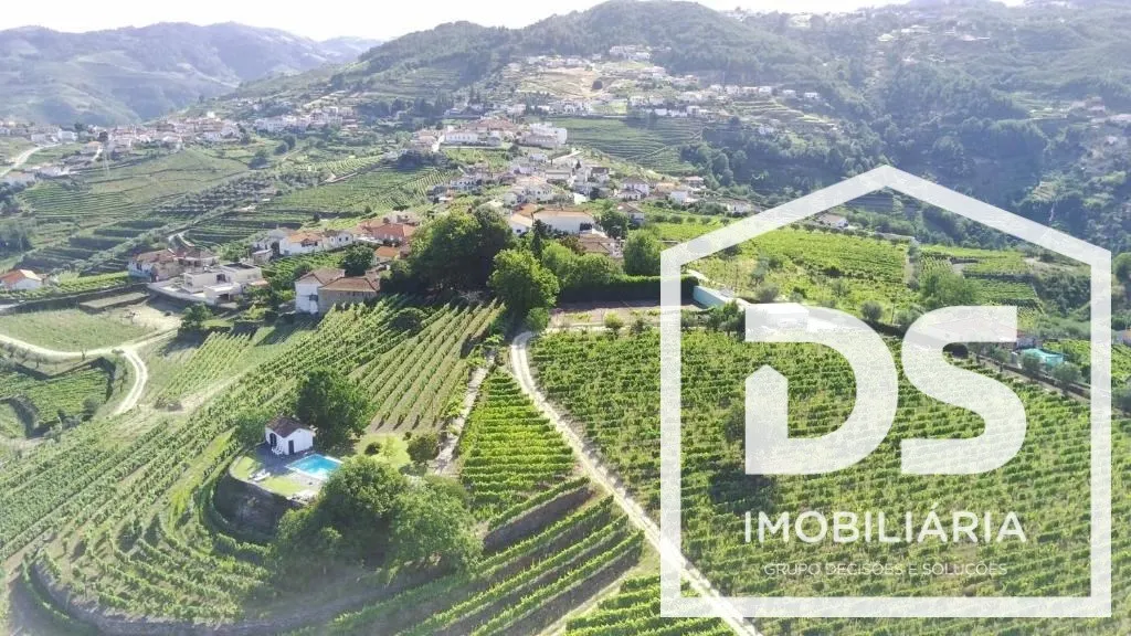 Douro Vinhateiro, Quinta Turística
