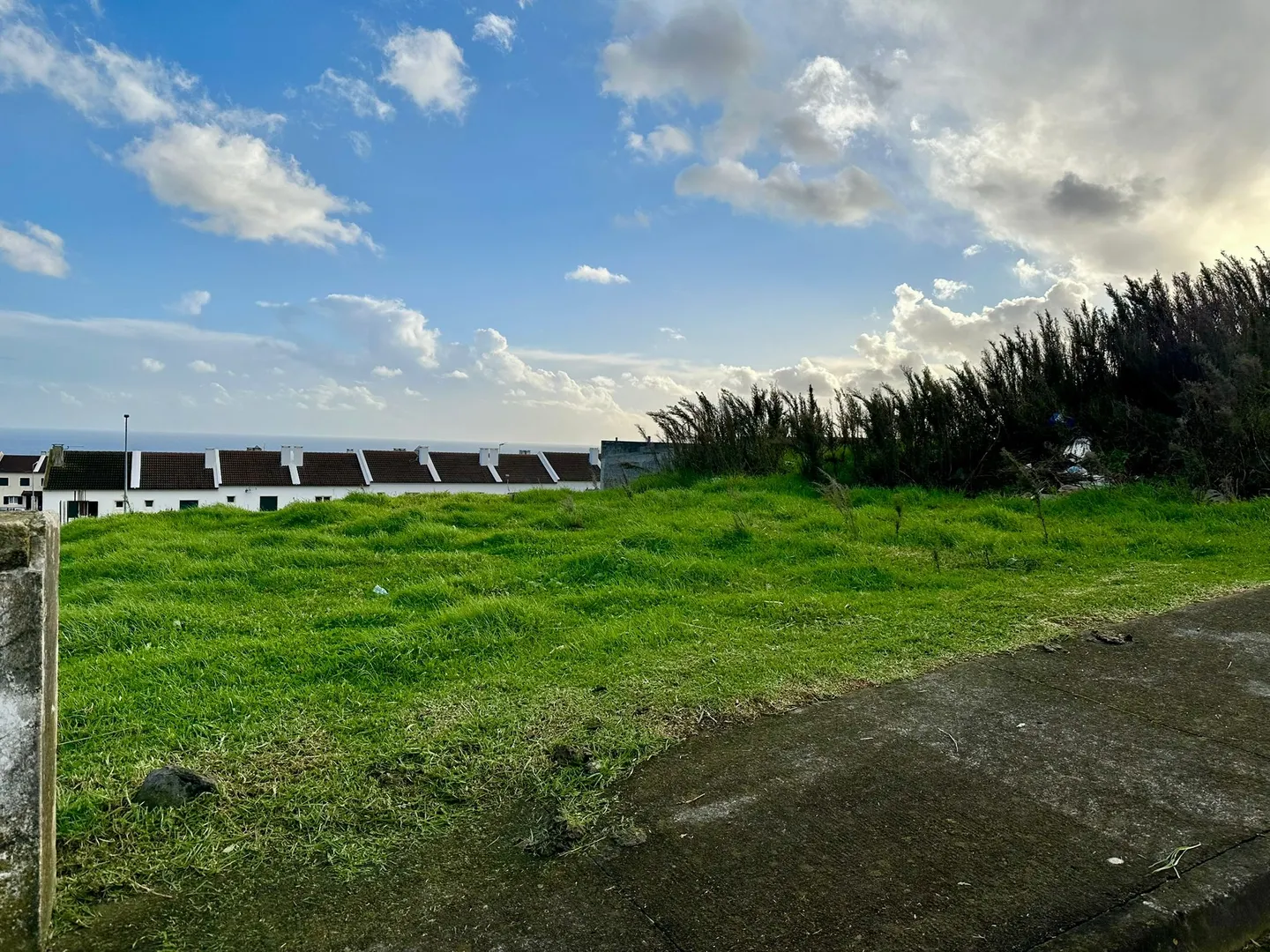 Terreno