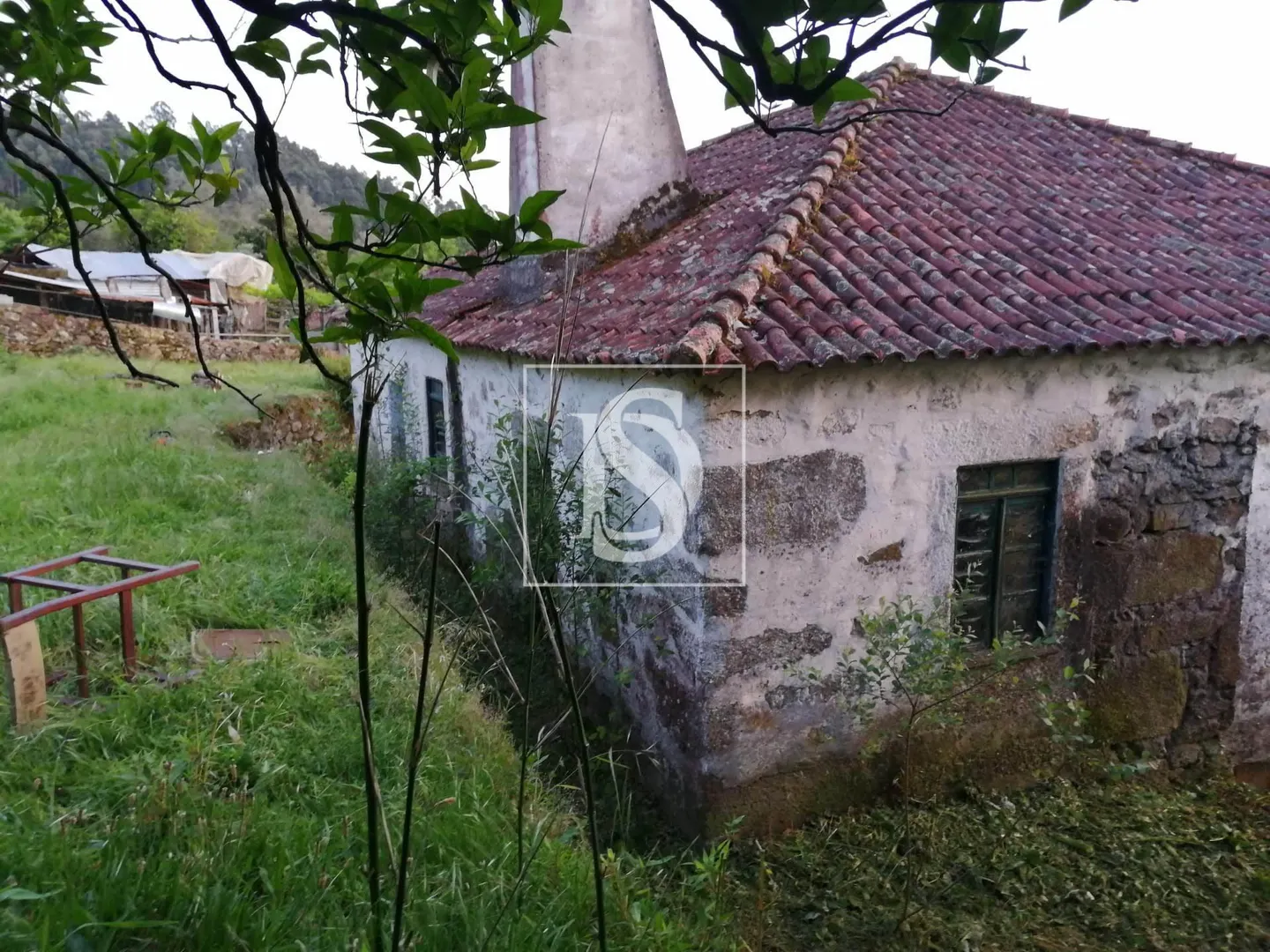 Quinta T2