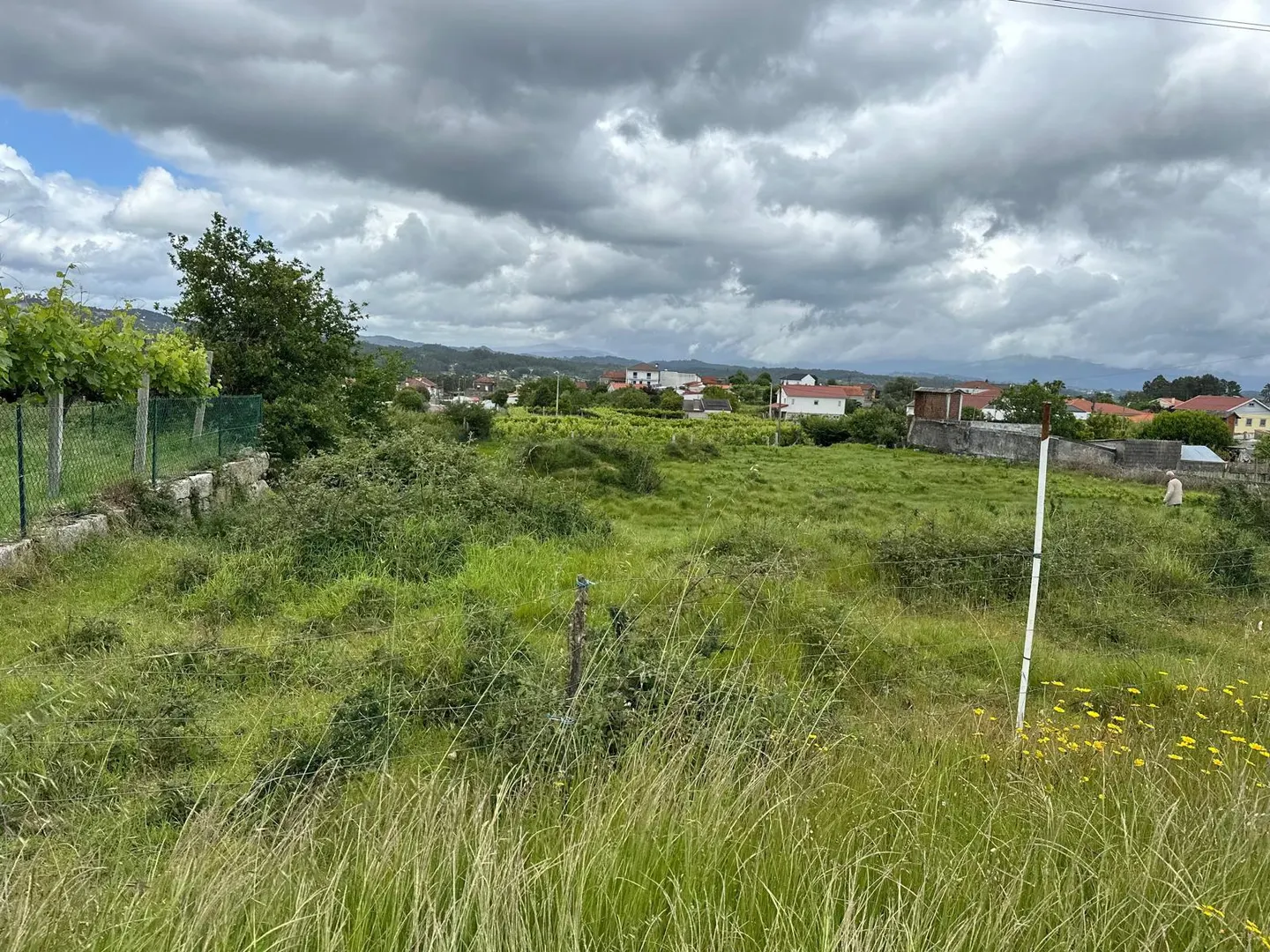 Terreno