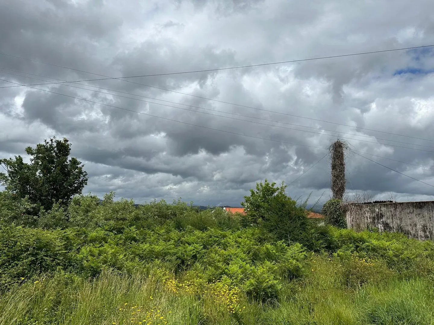 Terreno