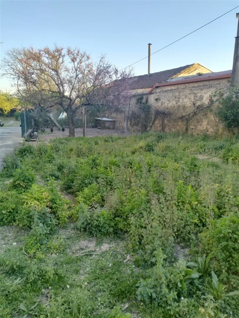 Terreno Para Construção