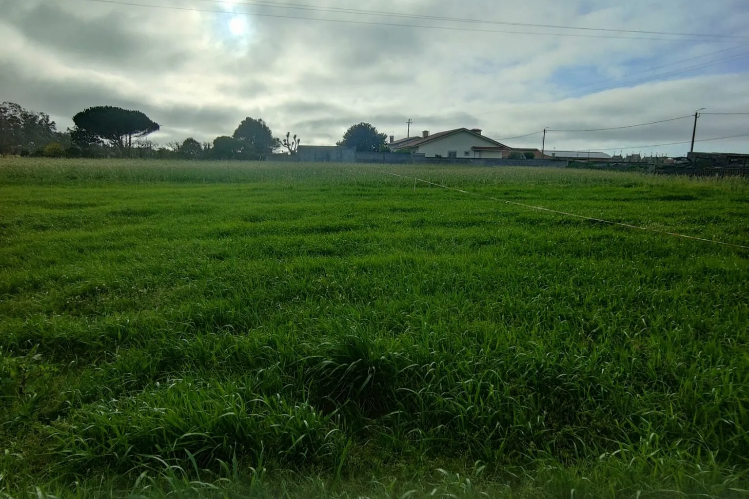Terreno Rústico