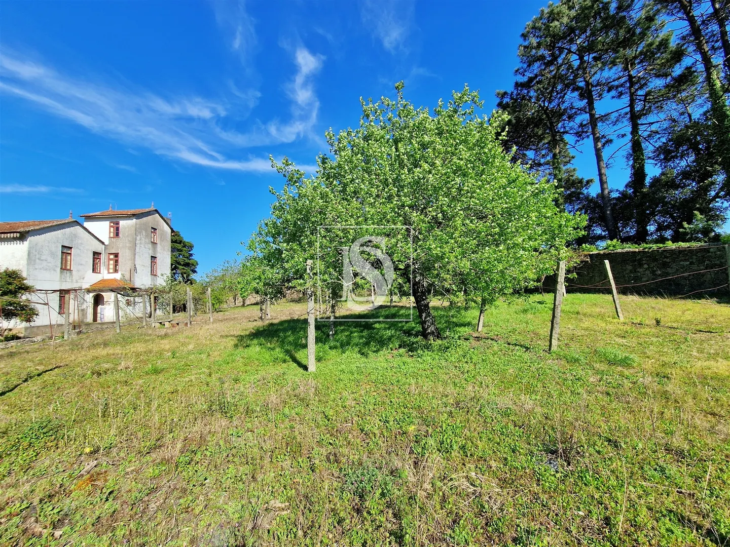 Quinta T6
