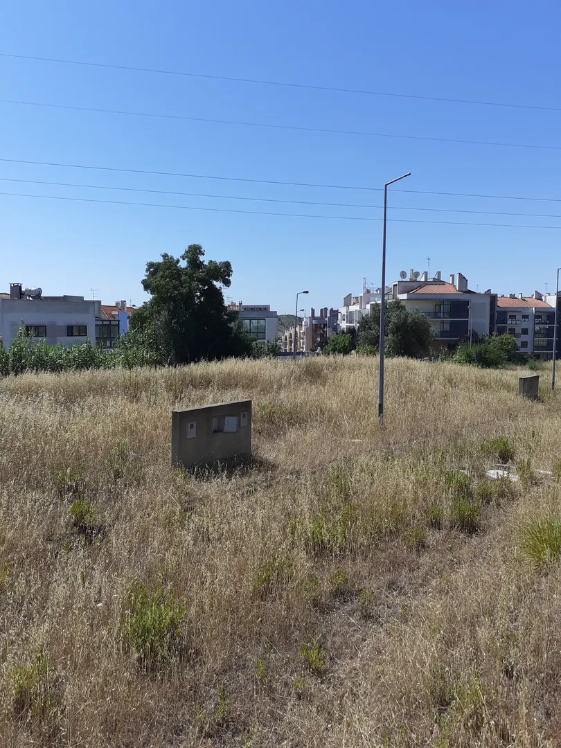 Terreno