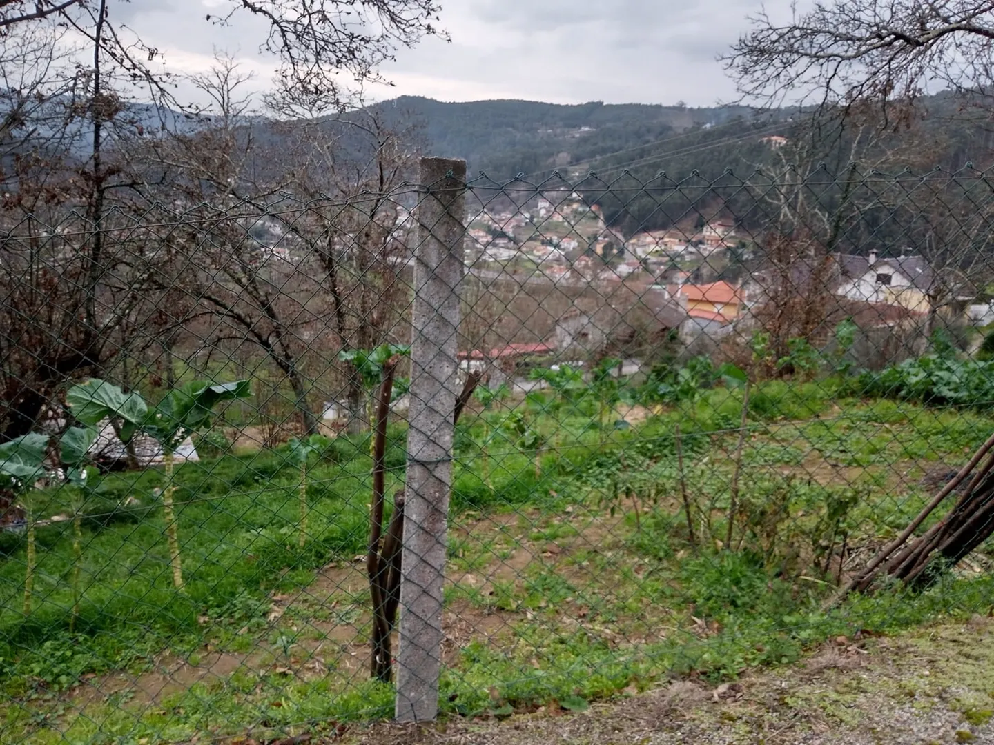 Terreno