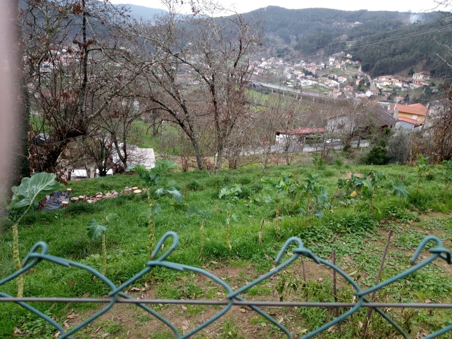 Terreno