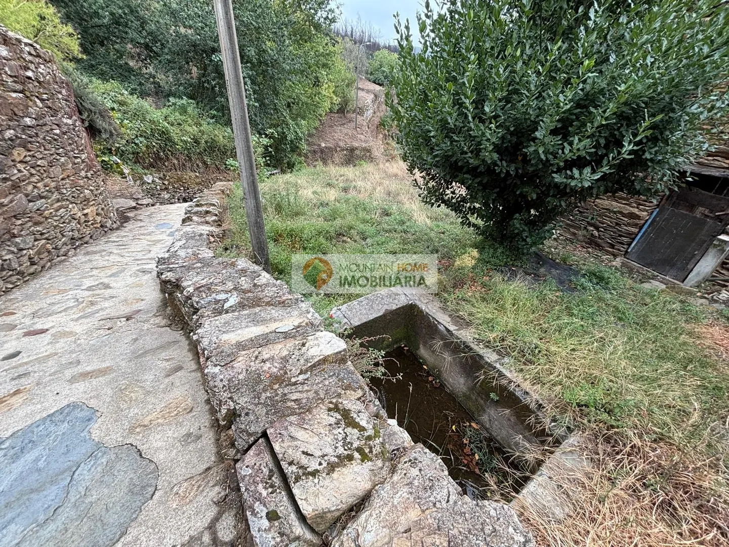 img_12