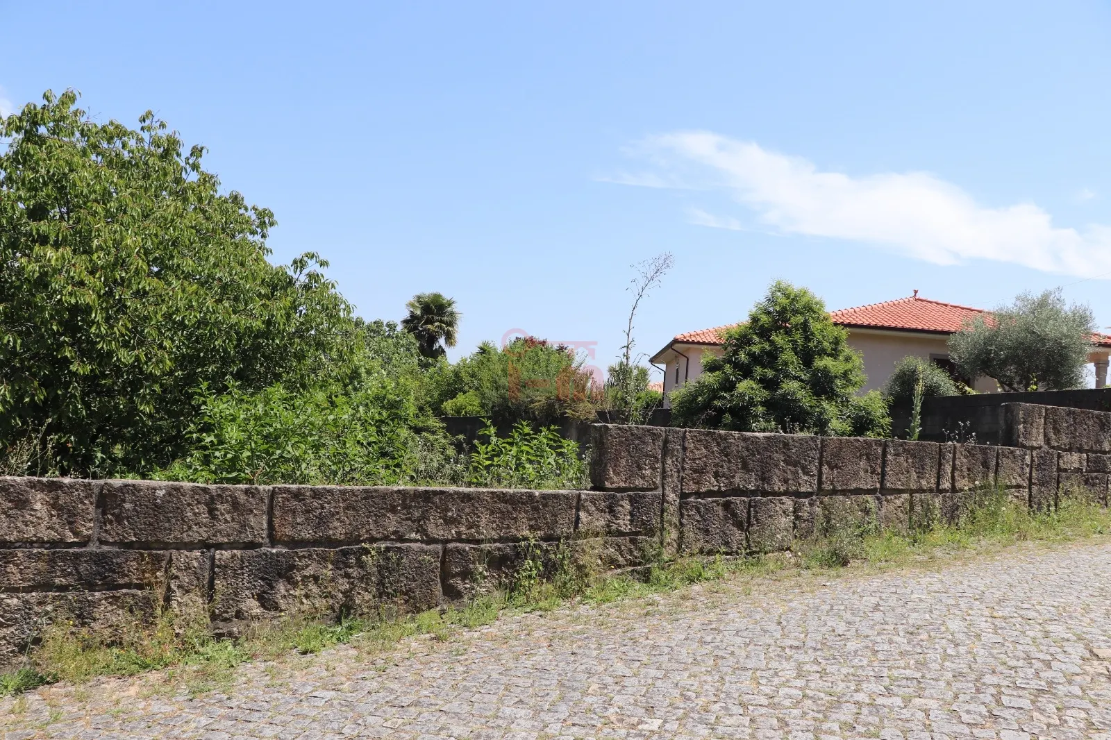 img_0
