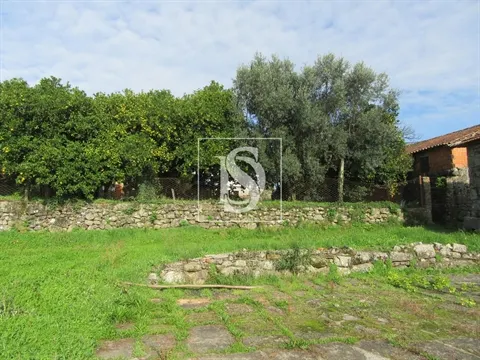 Quinta