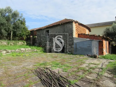 Quinta