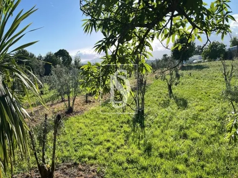Terreno