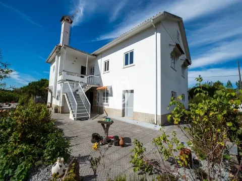 Quinta T6