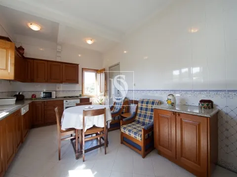 Quinta T6
