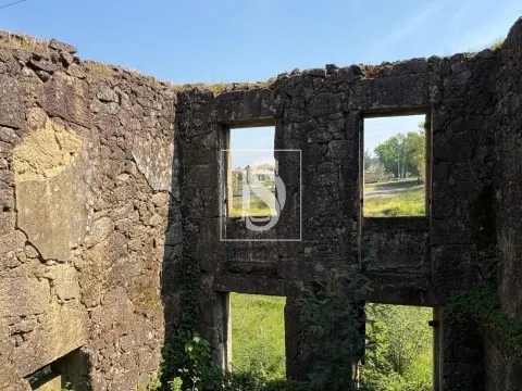 Terreno de 6.980m2 com ruína em Tondela