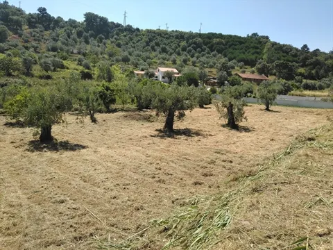 Terreno